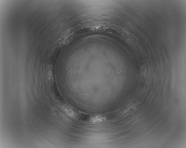 X0000056000754200509092045