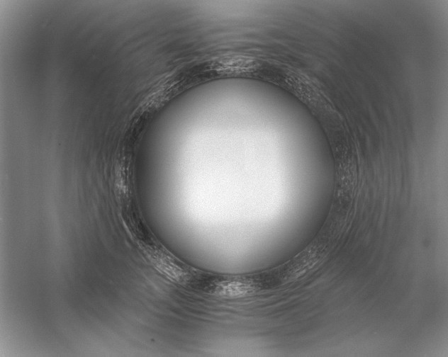 X0000056000755200509092045