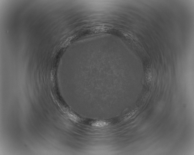 X0000056000759200509092045