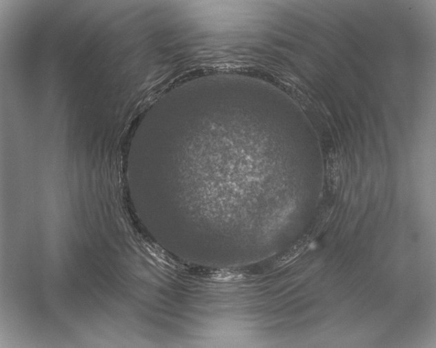 X0000056000760200509092045