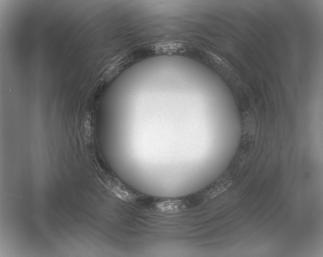 X0000056000761200509092045