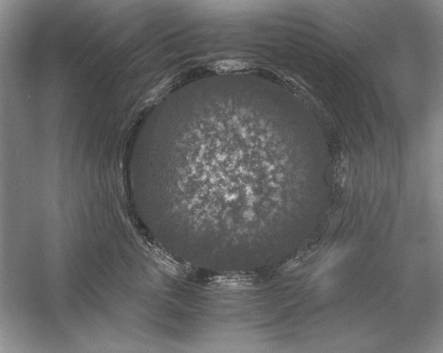 X0000056000763200509092045