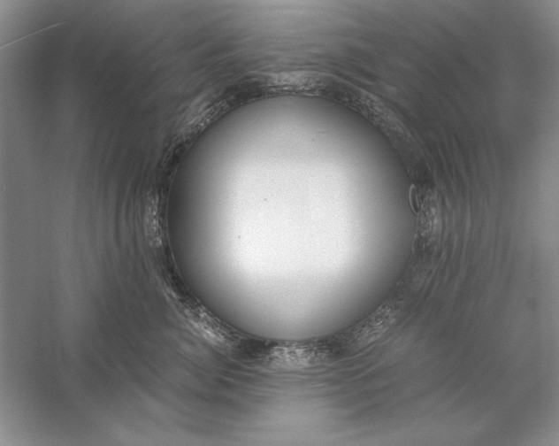 X0000056000764200509092045