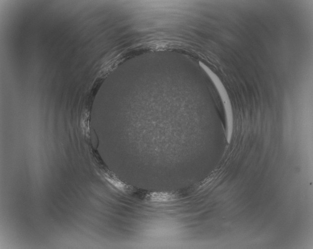 X0000056000766200509092046