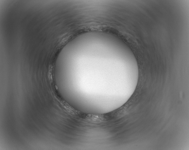 X0000056000768200509092046