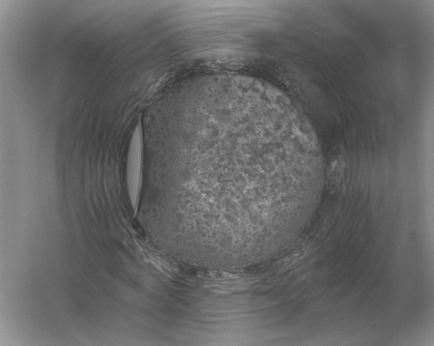 X0000056000772200509092045