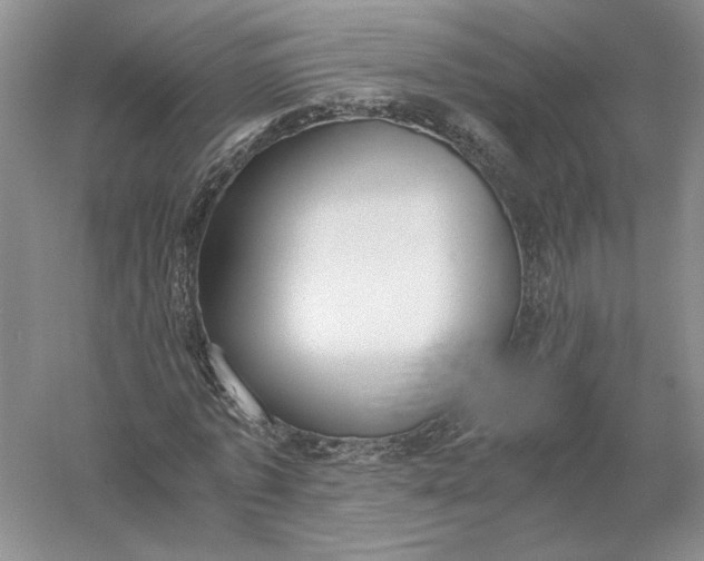 X0000056000773200509092045