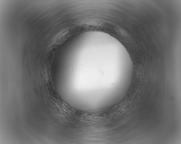 X0000056000774200509092045