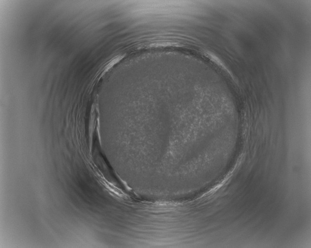 X0000056000777200509092045