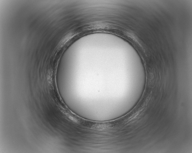 X0000056000778200509092045