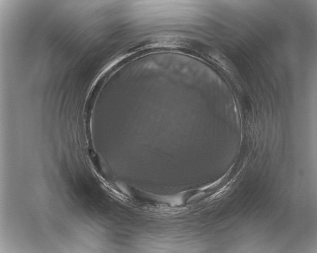 X0000056000779200509092045