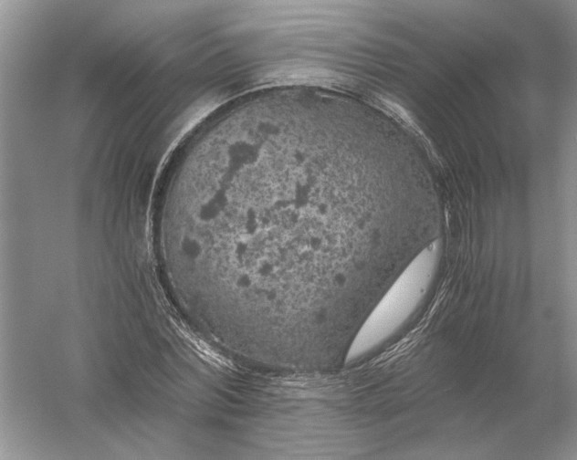 X0000056000780200509092045