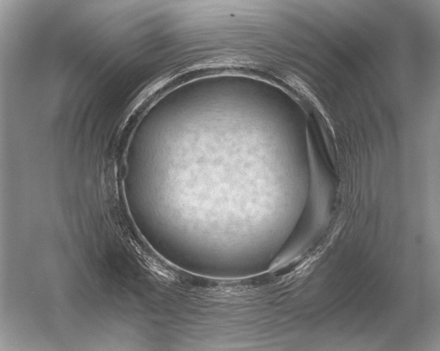 X0000056000781200509092045