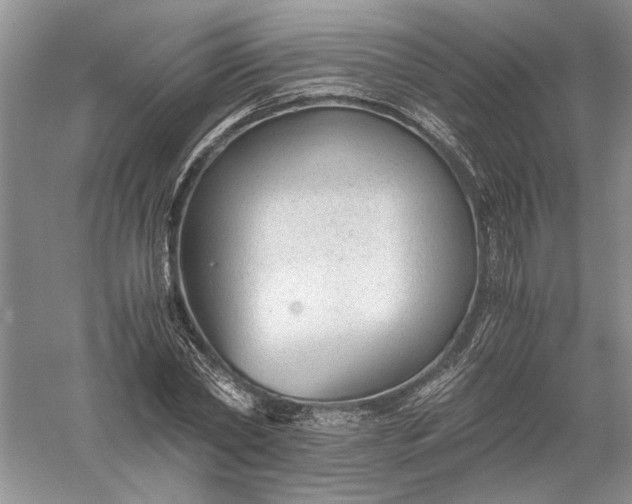 X0000056000782200509092045