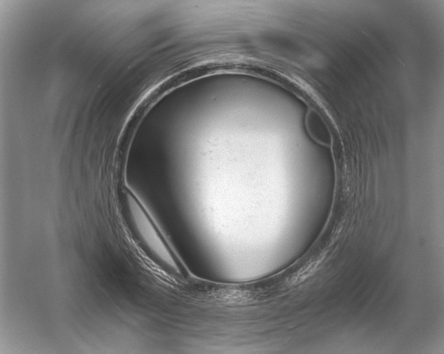 X0000056000783200509092045