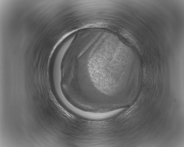 X0000056000784200509092044