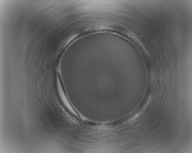 X0000056000785200509092044