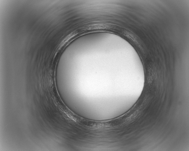 X0000056000786200509092044