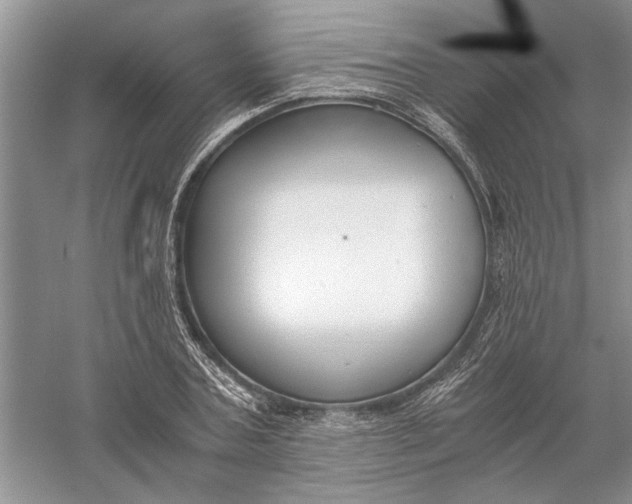 X0000056000787200509092044