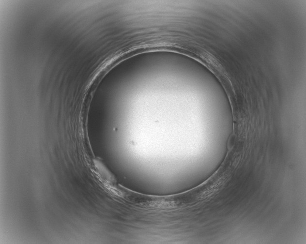 X0000056000789200509092044