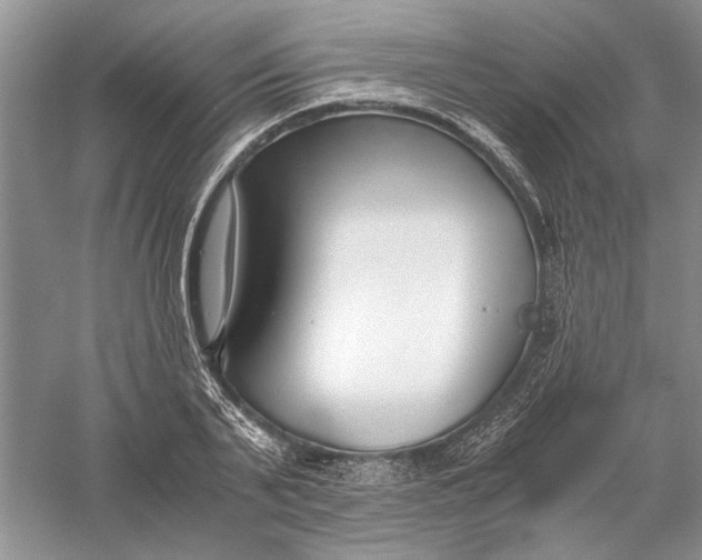 X0000056000791200509092044