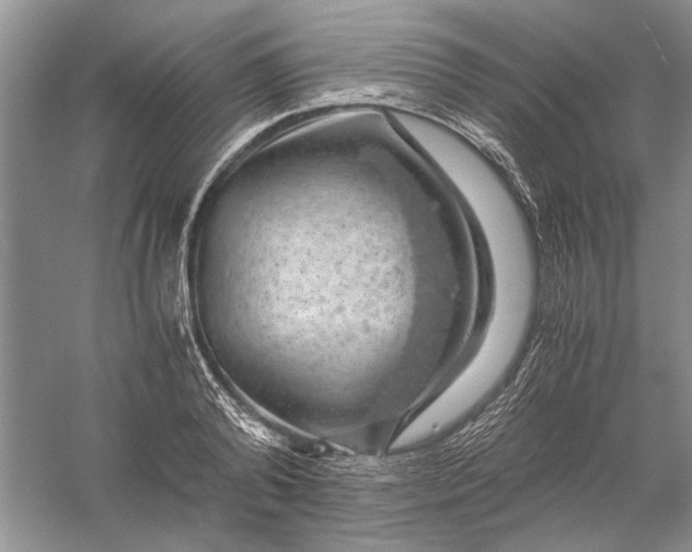 X0000056000792200509092044