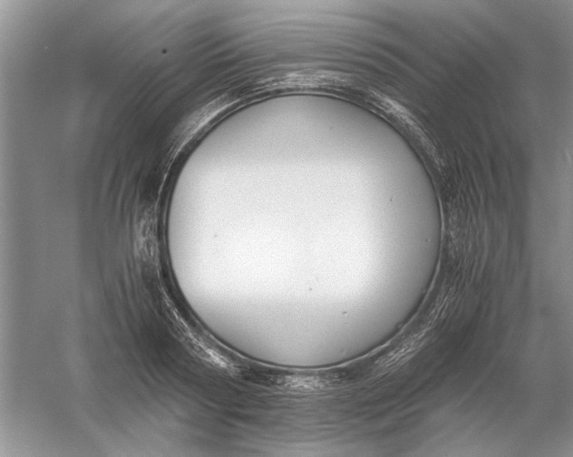 X0000056000794200509092044