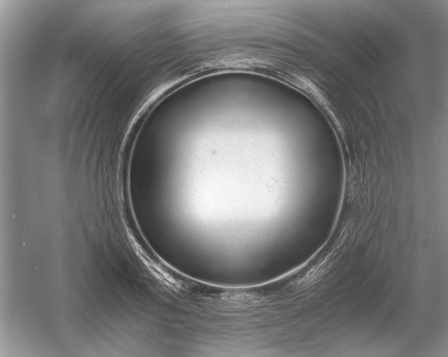 X0000056000795200509092044