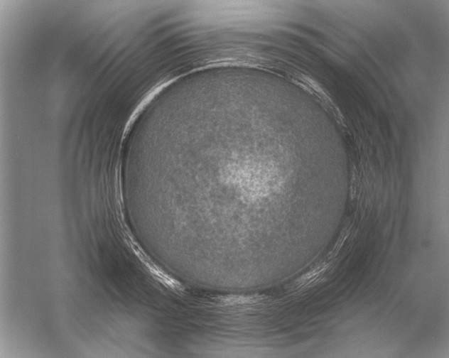 X0000056000796200509092044