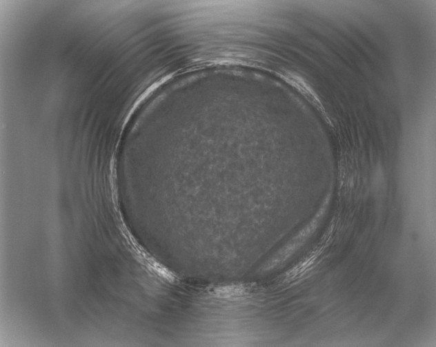 X0000056000798200509092044