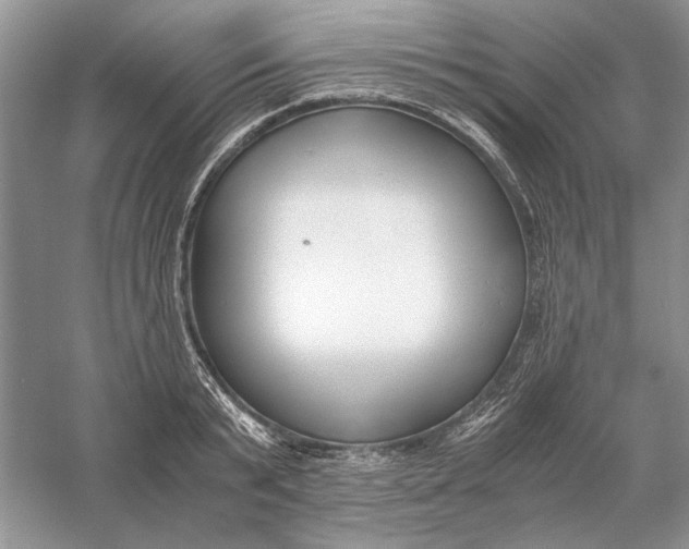 X0000056000799200509092044