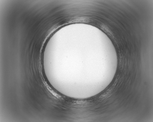 X0000056000800200509092044