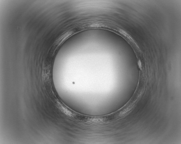 X0000056000801200509092044