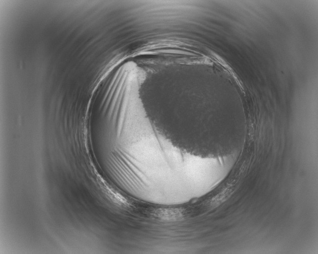 X0000056000802200509092044