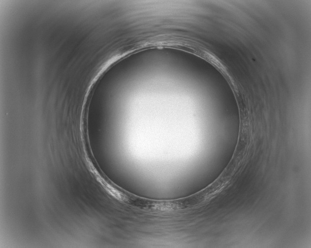 X0000056000803200509092044