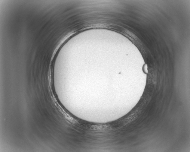 X0000056000804200509092044