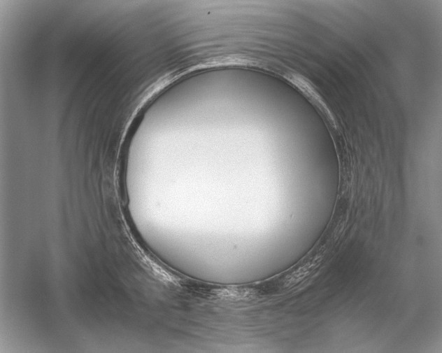 X0000056000805200509092044