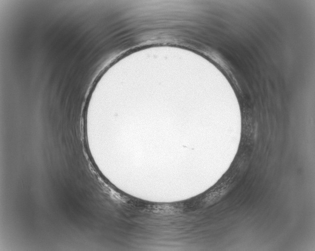 X0000056000807200509092044