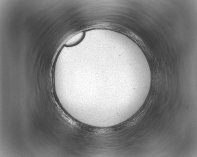 X0000056000808200509092044