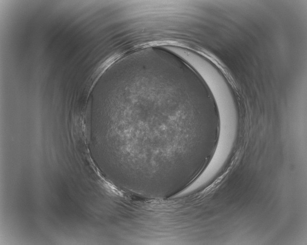 X0000056000809200509092044