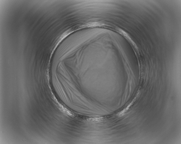 X0000056000810200509092044