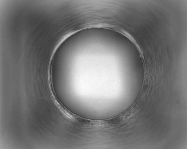 X0000056000811200509092044