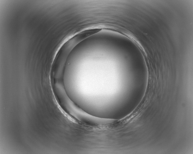 X0000056000813200509092044