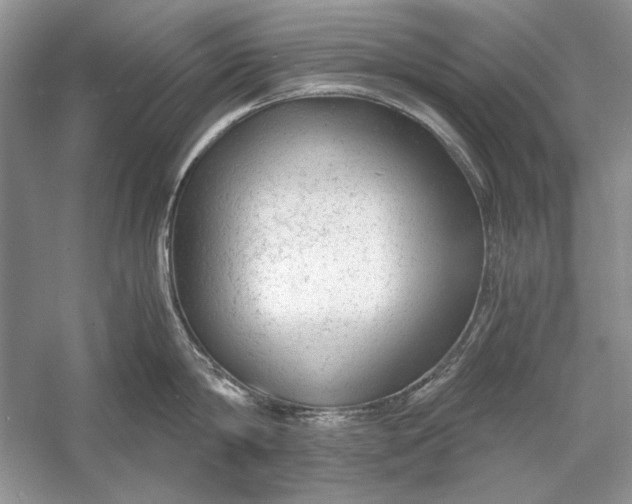 X0000056000814200509092044