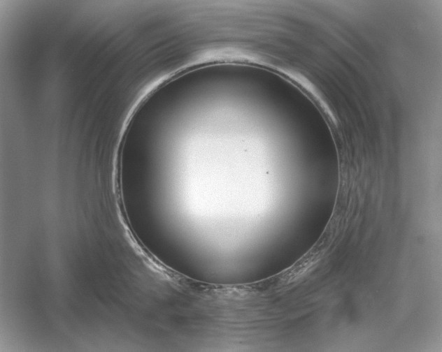 X0000056000815200509092044