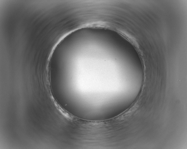 X0000056000816200509092044