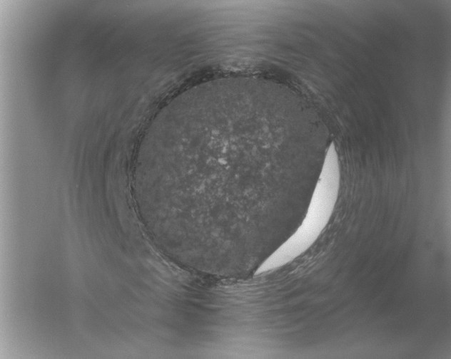 X0000056000817200509092043