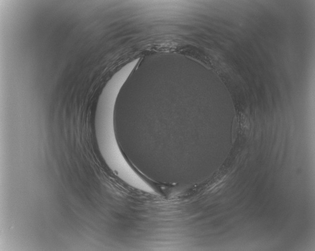 X0000056000818200509092043