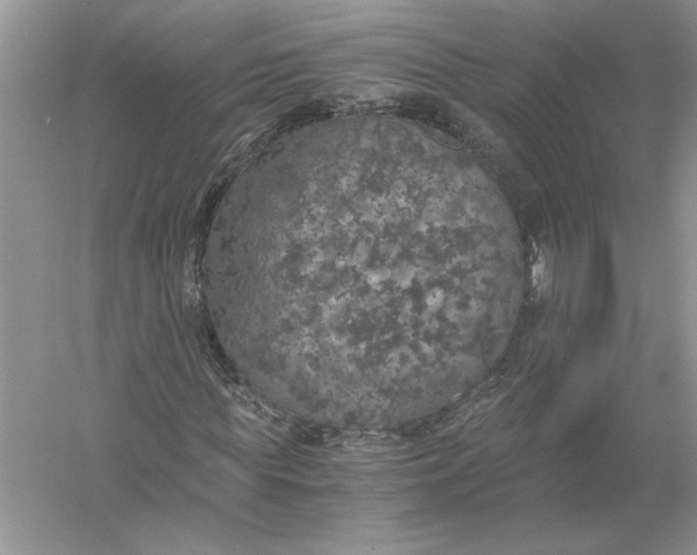 X0000056000819200509092043