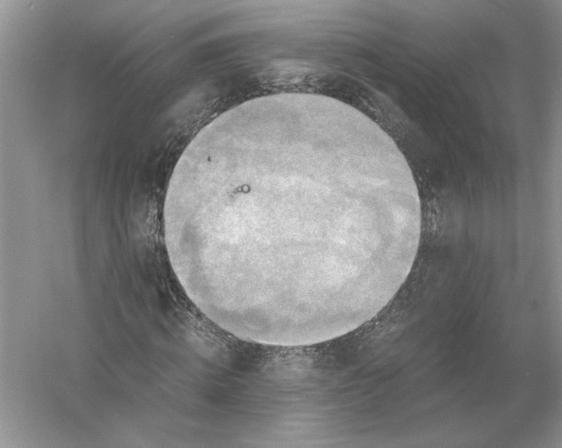 X0000056000820200509092043